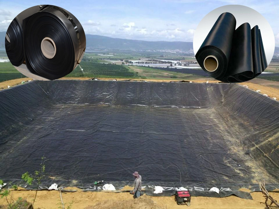LDPE/LLDPE/PVC/HDPE plástico impermeable Geomembrane para el precio de fábrica del trazador de líneas de la charca de la gamba