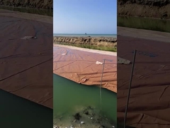 La filtración de C12.57 L50 200/200KN camina por el fango el tubo de desecación