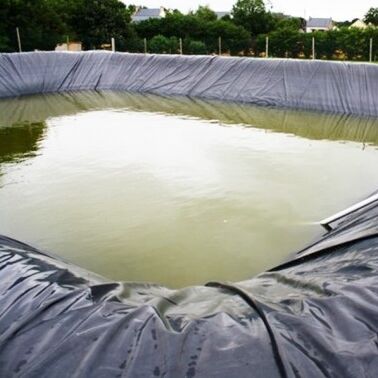Revestimiento duradero de geomembrana de HDPE, revestimiento de estanque de granja agrícola para cría segura de acuicultura