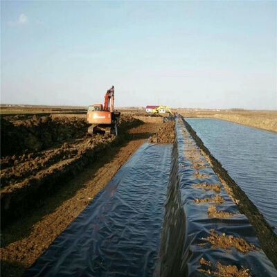 Revestimiento impermeable para estanques de geomembrana HDPE para acuicultura comercial de peces y camarones