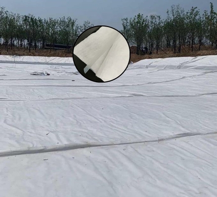 Aislamiento compuesto de la construcción del túnel del tráfico de Geomembrane de la tela no tejida