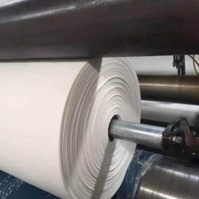 Geotextil no tejido de filamentos continuos de larga duración para el apoyo de la infraestructura de las pistas de aterrizaje de los aeropuertos
