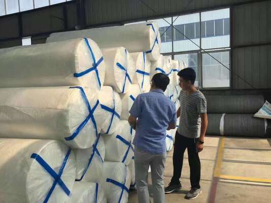 Filamento PET de resistencia isotrópica Geotextil no tejido para el refuerzo del suelo multidireccional