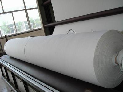 Geotextil no tejido perforado con aguja de fibra corta PET de alta resistencia