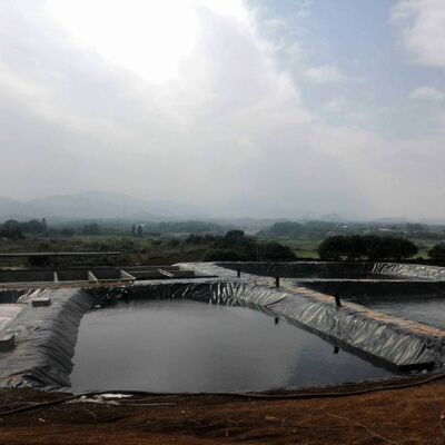 Revestimiento duradero de geomembrana de HDPE, revestimiento de estanque de granja agrícola para cría segura de acuicultura
