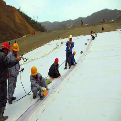 Contrapiso no tejido perforado con aguja del cojín del geotextil para los revestimientos de estanques