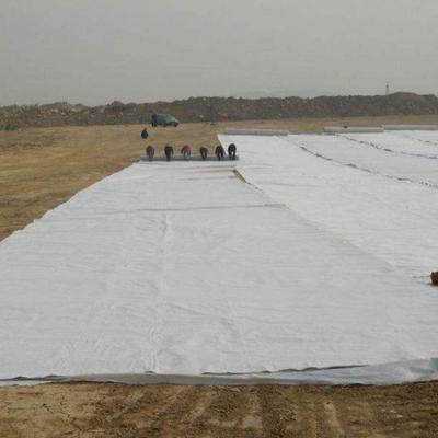 Contrapiso no tejido perforado con aguja del cojín del geotextil para los revestimientos de estanques