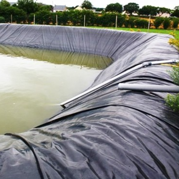 Hoja de revestimiento de geomembrana de HDPE impermeable de barrera de raíz para aislamiento de jardín de techo comercial