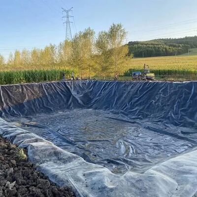 Revestimiento duro de geomembrana de HDPE para minería para presa de relaves y cuenca de lodo residual