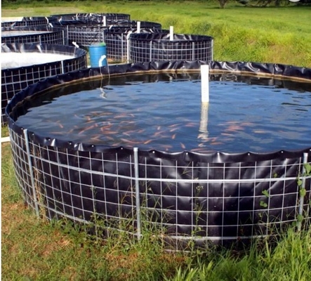 Grueso superficial liso 0.2~3m m del trazador de líneas del PVC Geomembrane para la alimentación de pescados del camarón